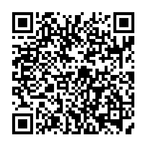 因为这时候跳进房间里来的牟晨菲已经很不客气的挤开了他右手边的忻娘二维码生成