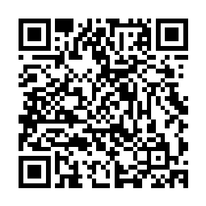 因为这次莺莺燕燕的东南亚旅游让他们的感觉有一个极大改变二维码生成