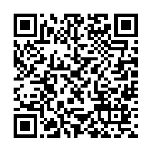 因为这种人放在现实生活里连给他提鞋的资格都没有二维码生成