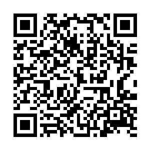 因为这里已经有一位八品墨徒携了墨的分神侵蚀界壁二维码生成