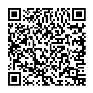 因为那与林辰战斗的护法直到现在依旧是被对方强势碾压没有任何还手的余地二维码生成