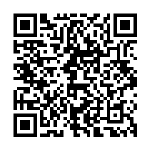 因为那个黄毛如果再耽误一刻钟的治疗估计就会因流血过多而死二维码生成