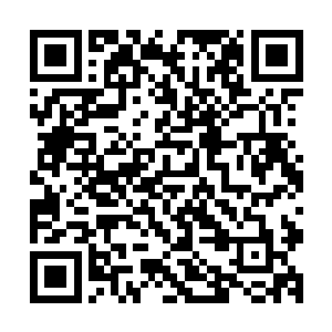 因为那些得到过二十四颗定海神珠并且留下记忆传承的前辈们二维码生成