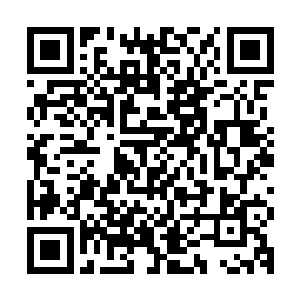 因为那时候的秦方实力应该已经稳稳的站在了宗师级层次了……二维码生成