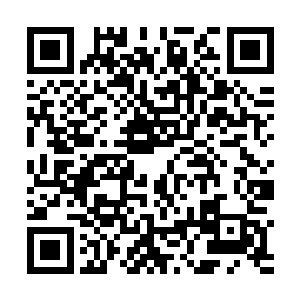 因为里面的内容完整的解释了木灵族上一代强者的死因二维码生成