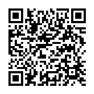 因为钟杨颖跟苏芷妍几乎是前后脚也跟着同样缠住了他二维码生成