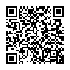 因为雨果在大屏幕上奉献的表演看起来并不是学院派的传统方式二维码生成