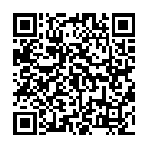 因任务目标实力的真实实力与任务描述的实力有着巨大差异二维码生成