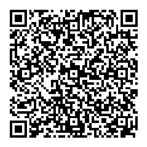 因此 对于僵尸的气息异常的灵敏 当发现此地有僵尸渡劫之后 他们跨越时空而來 虽然恐怖 但却蕴含着无数代僵尸的希望二维码生成