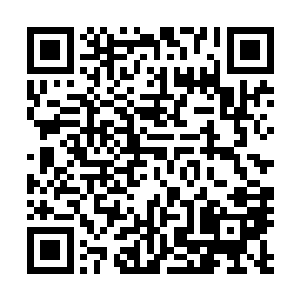 因此他明白在周狼这样的人面前反抗和阴谋都是没什么用的二维码生成
