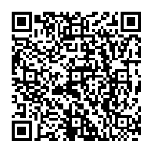 因此他这番细胞激活术便只是针对着蓝发女孩儿那些伤口之中破损的血管尽行了一下修复二维码生成