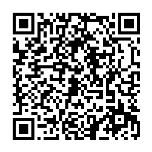 因此在现实生活里战无不胜无所不能的小胖在游戏里的结局自然可想而知二维码生成