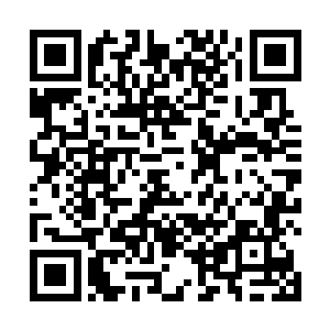 因此在观测上明显看到我们母域也同样在环绕对方旋转二维码生成