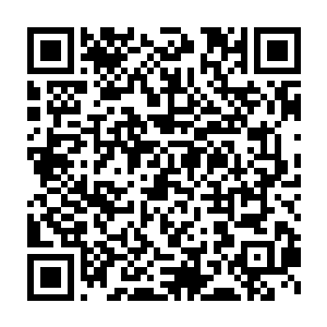 因此大多数参加拍卖会的富豪主要都把目标放在了那些高价翡翠原石上二维码生成