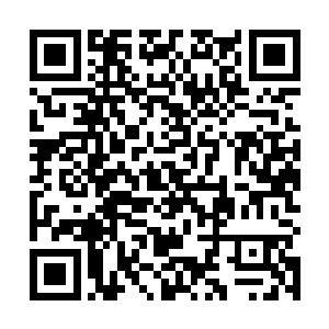 因此对于林阿姨给自己的任务――照顾好弟弟非常重视二维码生成