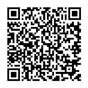 因此并不晓得木萦刚才已经在他不知道的时候把他的修为和资质探查过一遍了二维码生成