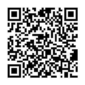 因此我建议十大守护家族将帝王神器全部带到这里來二维码生成