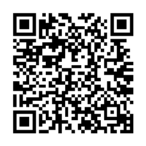 因此无法评定你的天赋与王族的年轻俊杰相比究竟如何二维码生成