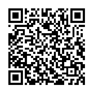 因此普通的家族想要建造这样富丽堂皇的宫殿简直就是开玩笑二维码生成