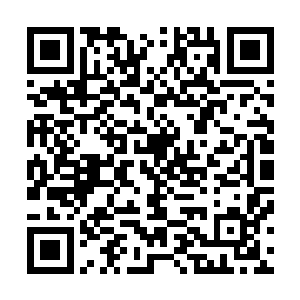 因此格里斯在龙岛上生活的时候基本上没有跟任何的龙族异二维码生成