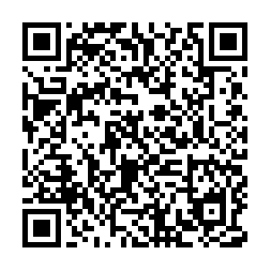因此葬花宫宫主的能力单论破坏力而言其实已经和刘宇站在了同一层次二维码生成