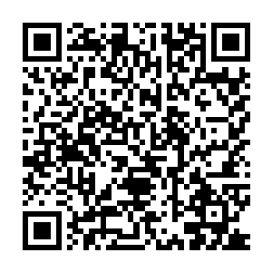 因此预先准备好这么一份对其余的人毫无用处的名单并没有任何的意义二维码生成