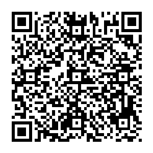 囡囡和皮皮一听立刻开开心心的走上了前去一边一个接着小语镌的手就往舱室的入口带二维码生成