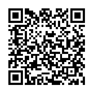 园林设计中常用绑铁丝的方法使树木按预定形态生长二维码生成