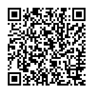 围绕着宫殿的植物统统烧了个干净但是宫殿没有遭受一丝一毫的损坏二维码生成