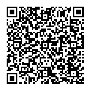 围绕着张铁飞舞转动着的五行环中的火属性的那一环像盾牌一样将幻影九变骑士的轰击消弭了大半二维码生成