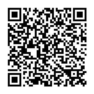 固然还无法将蔚文泰的身体素质提升到和修为一样的十二星巅峰极限二维码生成