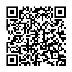 国内的电影圈子迄今为止还没有过这样类似的ip式操作和发掘二维码生成