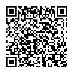 国家游泳队的总教练彭哲伟和副总教练石顺忠终于出现在了仙桃村二维码生成
