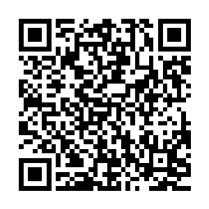 国家电视台的新闻频道总会播出很多极有影响力的综合采访节目二维码生成