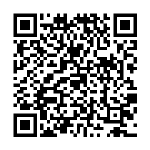 圆润的花猫的抱怨最终终止于一件需要冬姬协助的突发案件二维码生成