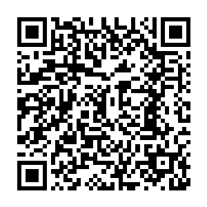 圣器别王击飞时产生的撞击之力简直可以媲美圣皇九重天强者的一击了二维码生成