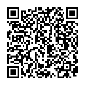 圣弃界另外两名实力分别达到本源中期和本源后期的上代圣灵王联手挑战二维码生成