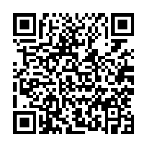 圣灵一族也总算是能够在短时间内获得一定的平静和安全了二维码生成