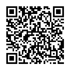 圣灵石中的能量已经随着他的修炼上升到了他的脑部位置二维码生成