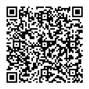 圣皇子傲然道　这不怪他骄傲　而是斗战一族天性就是如此　不畏惧任何何物　哪怕是死　也会去战斗一番二维码生成