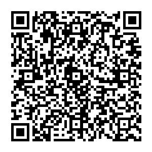 圣皇子踱步上前 直勾勾的看着他 这些天 他是真切的看着他的变化 眼中甚至出现了一抹战意二维码生成