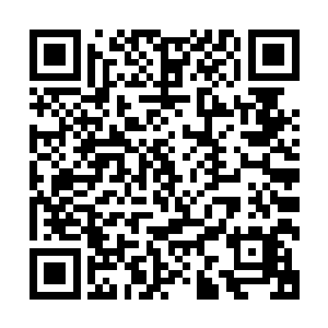 在一号战争城堡和那两万艘仙舟开始从下方的通道撤退的同时二维码生成