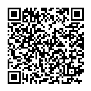 在一所学校内还不太显眼――80年代的年轻学者有博士学位的少之又少二维码生成