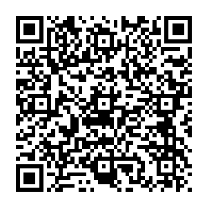 在一旁开启看戏模式的仙人们只看着七长老们被那几个人形植物的话弄的脸青一阵红一阵二维码生成