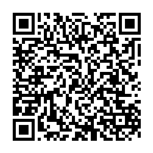在一时半会之间也根本找不到能够让楚旬等人从绝境中生还的方法二维码生成