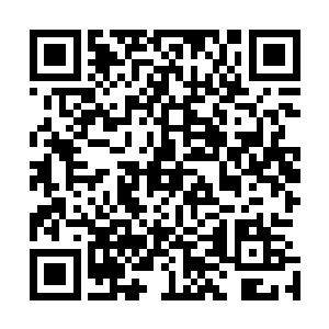 在一次准备出洞调戏母龟的时候被天上坠落的一块物体砸到二维码生成