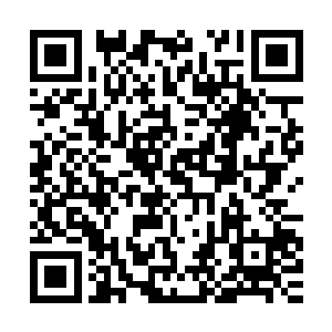 在一次又一次地伤害别人也伤害自己之后才能真正明白过来――二维码生成