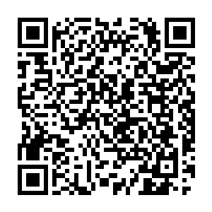 在一流势力中也是排的上号的而最近几十万年的时间内地位更是暴涨二维码生成