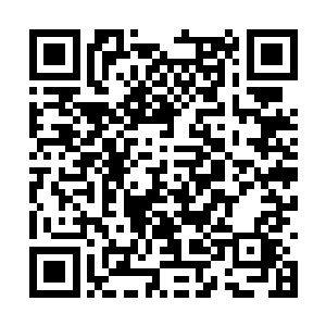 在一边的修罗和娜丽丝听到这家伙竟然让苏凡等死二维码生成