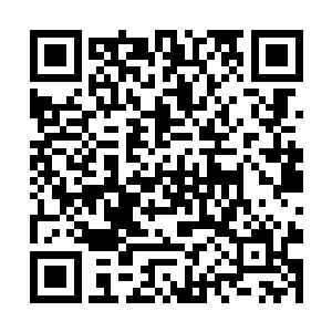 在上一次用来抵挡圣弃界的入侵时就已经消耗了不少二维码生成